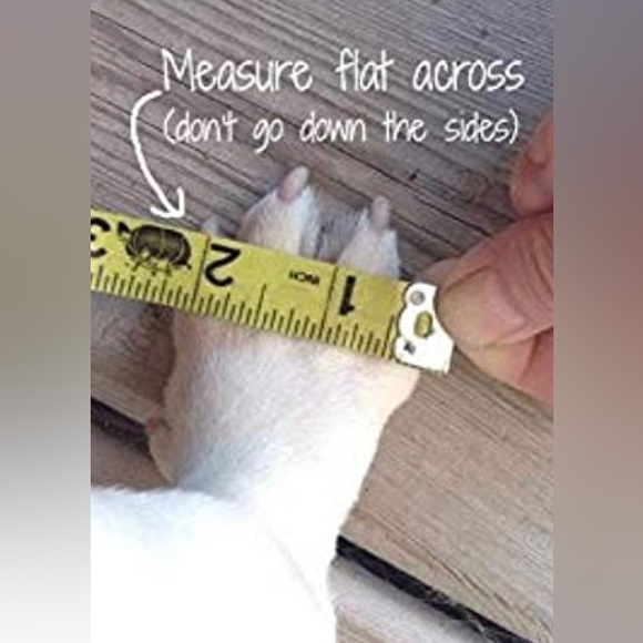 146. NWT Dog Quality Grippers Non-Slip Dog Socks (M) - Picture 11 of 14